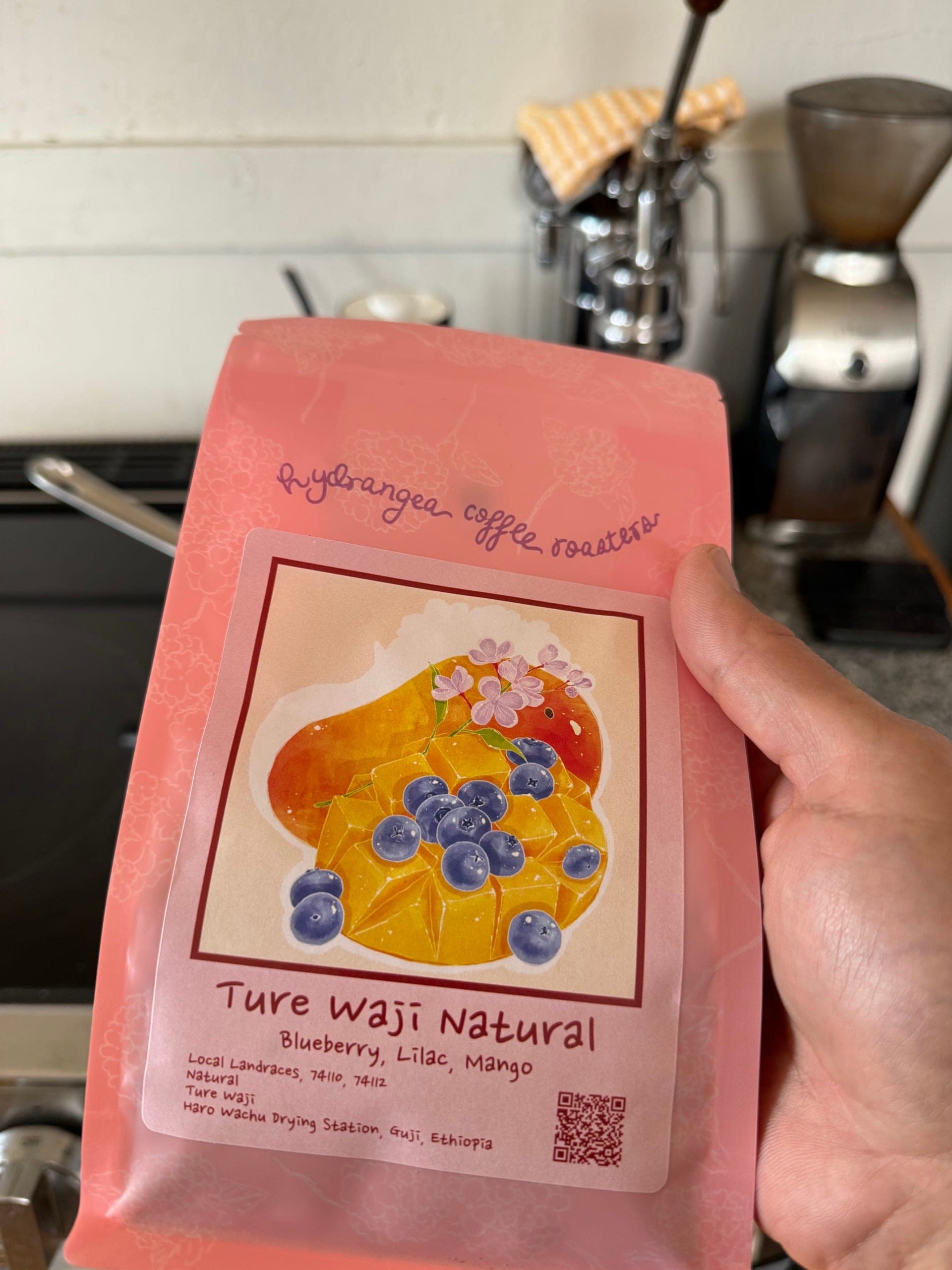 A bag of Hydrangea Coffee Roasters Ethiopian beans held in front of the setup
